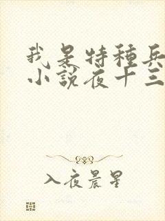 我是特种兵杨洛小说夜十三