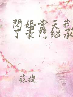 闪婚当天我怀上了豪门继承人