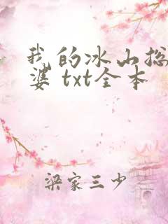 我的冰山总裁老婆 txt全本