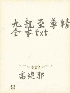 九龙至尊精校版全本txt