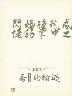 闪婚后我成了大佬的掌中之物