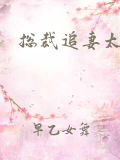 总裁追妻太凶猛