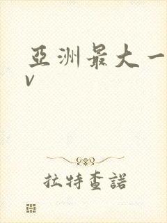 亚洲最大一区av