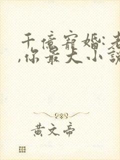 千亿宠婚:老婆,你最大小说