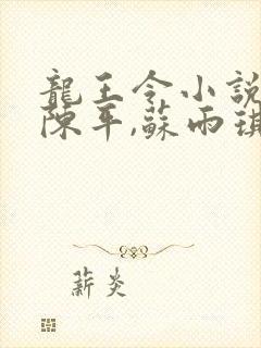 龙王令小说免费陈平,苏雨琪