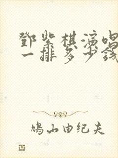 邓紫棋演唱会第一排多少钱