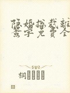 隐婚总裁离婚请签字免费全文