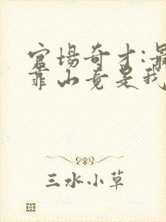 官场奇才:最强靠山竟是我自己李澜全本阅