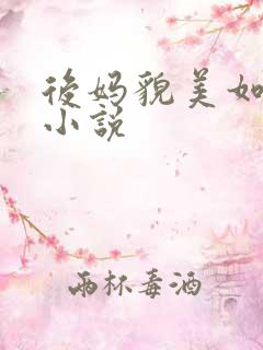后妈貌美如花 小说