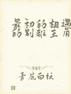 最初的相遇最后的别离主角