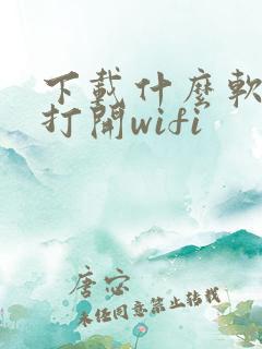 下载什么软件能打开wifi