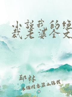 小说我的绝美总裁老婆全文阅读