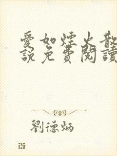 爱如烟火散落小说免费阅读