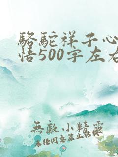 骆驼祥子心得感悟500字左右