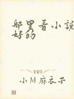 哪里看小说比较好的