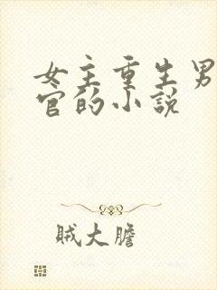 女主重生男主高官的小说