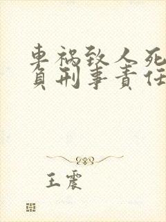 车祸致人死亡要负刑事责任吗