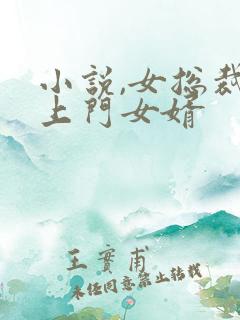 小说,女总裁的上门女婿