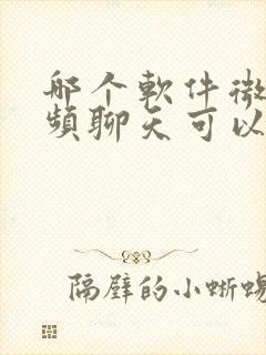 哪个软件微信视频聊天可以美颜