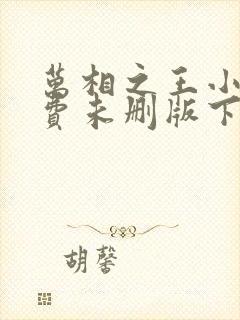 万相之王小说免费未删版下载