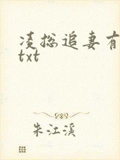 凌总追妻有点甜txt