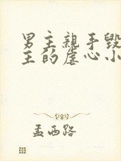 男主亲手毁了女主的虐心小说