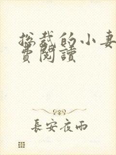 总裁的小妻子免费阅读