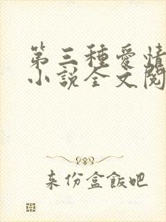 第三种爱情原著小说全文阅读