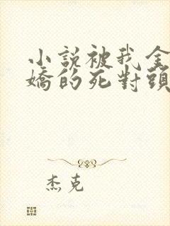 小说被我金屋藏娇的死对头在线阅读