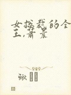 女总裁的全能兵王,萧晨