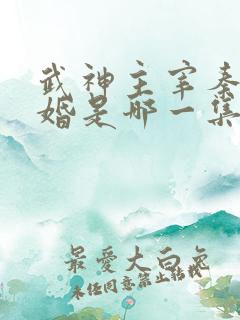 武神主宰秦尘抢婚是哪一集