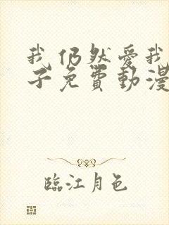 我仍然爱我的妻子免费动漫电视剧