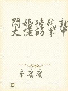 闪婚后我就成了大佬的掌中之物