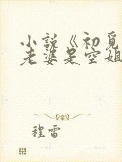 小说《初觅》我老婆是空姐