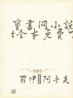 宝书网小说txt全本免费下载