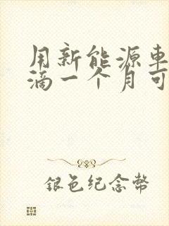 用新能源车跑滴滴一个月可以赚多少