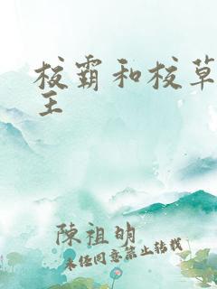 校霸和校草双男主