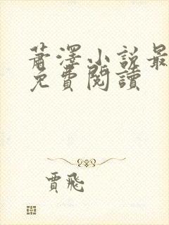 萧泽小说最新版免费阅读