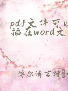 pdf文件可以插在word文档里面吗