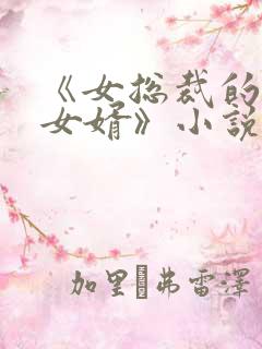 《女总裁的上门女婿》小说