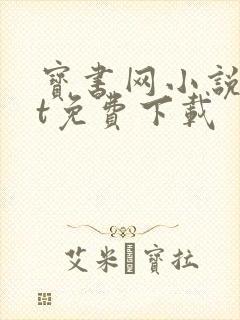 宝书网小说txt免费下载