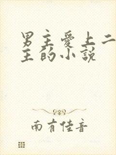 男主爱上二婚女主的小说