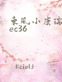 东风小康瑞驰的ec36