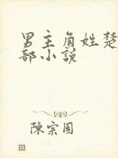 男主角姓楚的全部小说