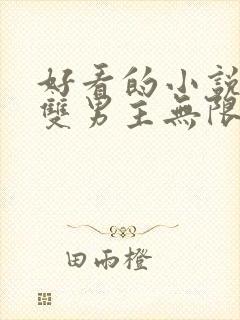 好看的小说推荐双男主无限流