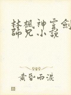 林枫神霄剑宗大师兄小说