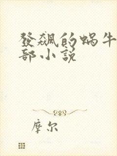 发飙的蜗牛的全部小说