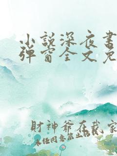 小说深夜书屋无弹窗全文免费阅读