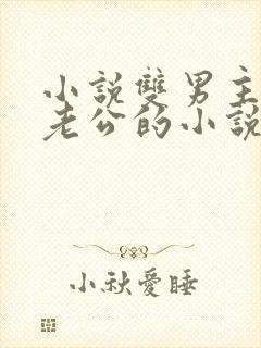 小说双男主虐文老公的小说推荐完结