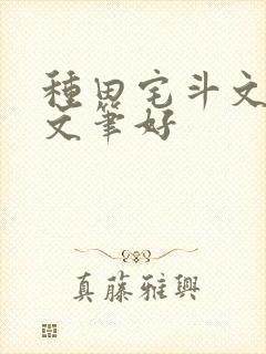 种田宅斗文推荐文笔好